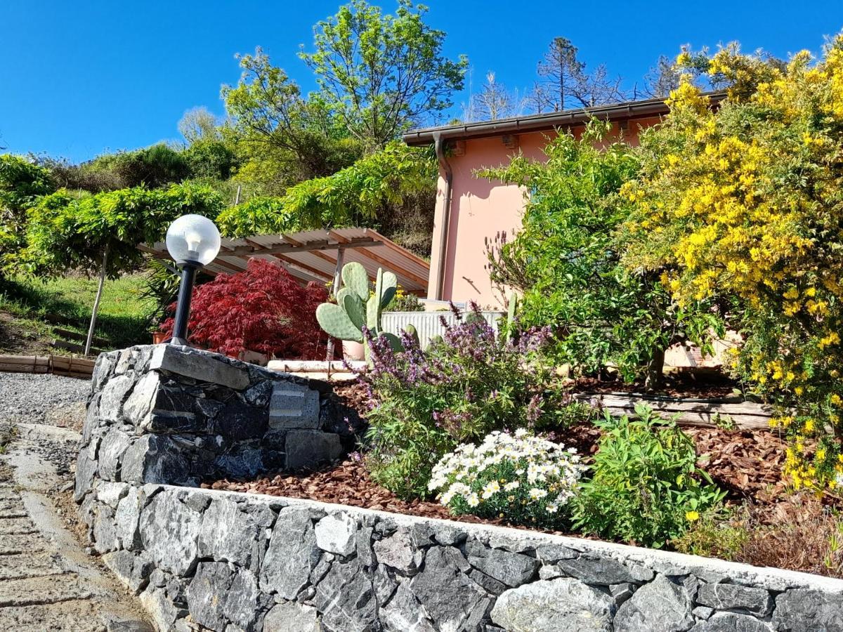 Casa Cinzia Bonassola Cinque Terreアパートメント エクステリア 写真