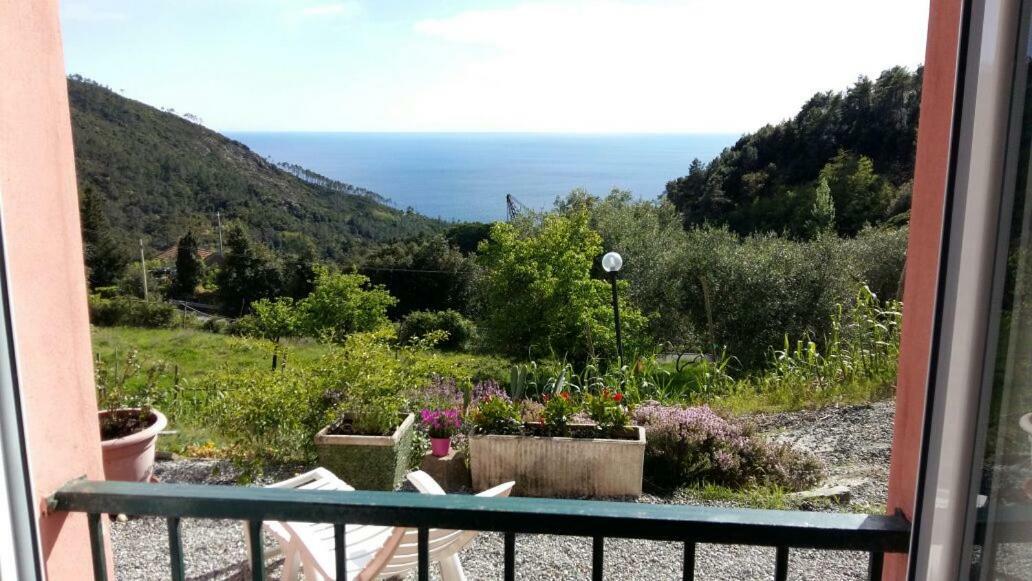 Casa Cinzia Bonassola Cinque Terreアパートメント エクステリア 写真