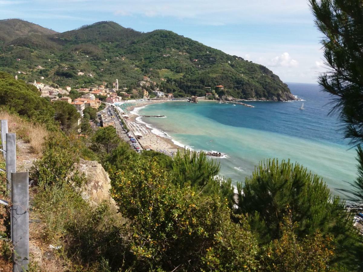 Casa Cinzia Bonassola Cinque Terreアパートメント エクステリア 写真