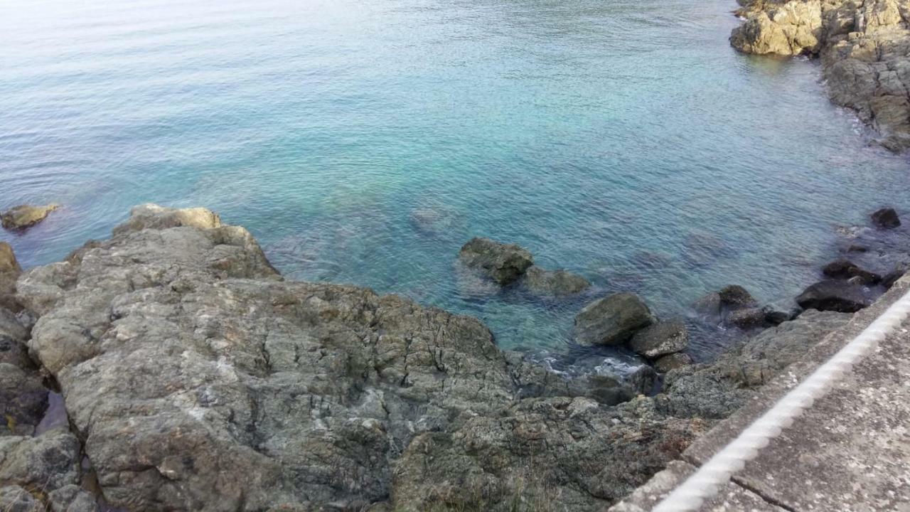 Casa Cinzia Bonassola Cinque Terreアパートメント エクステリア 写真